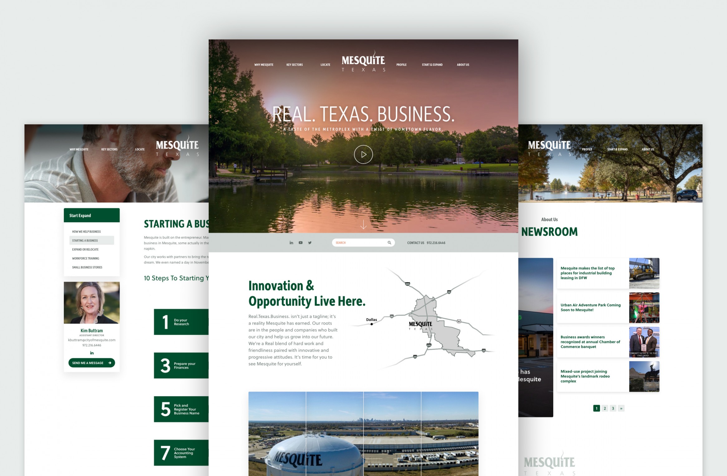 Screenshot of Mesquite's webpages