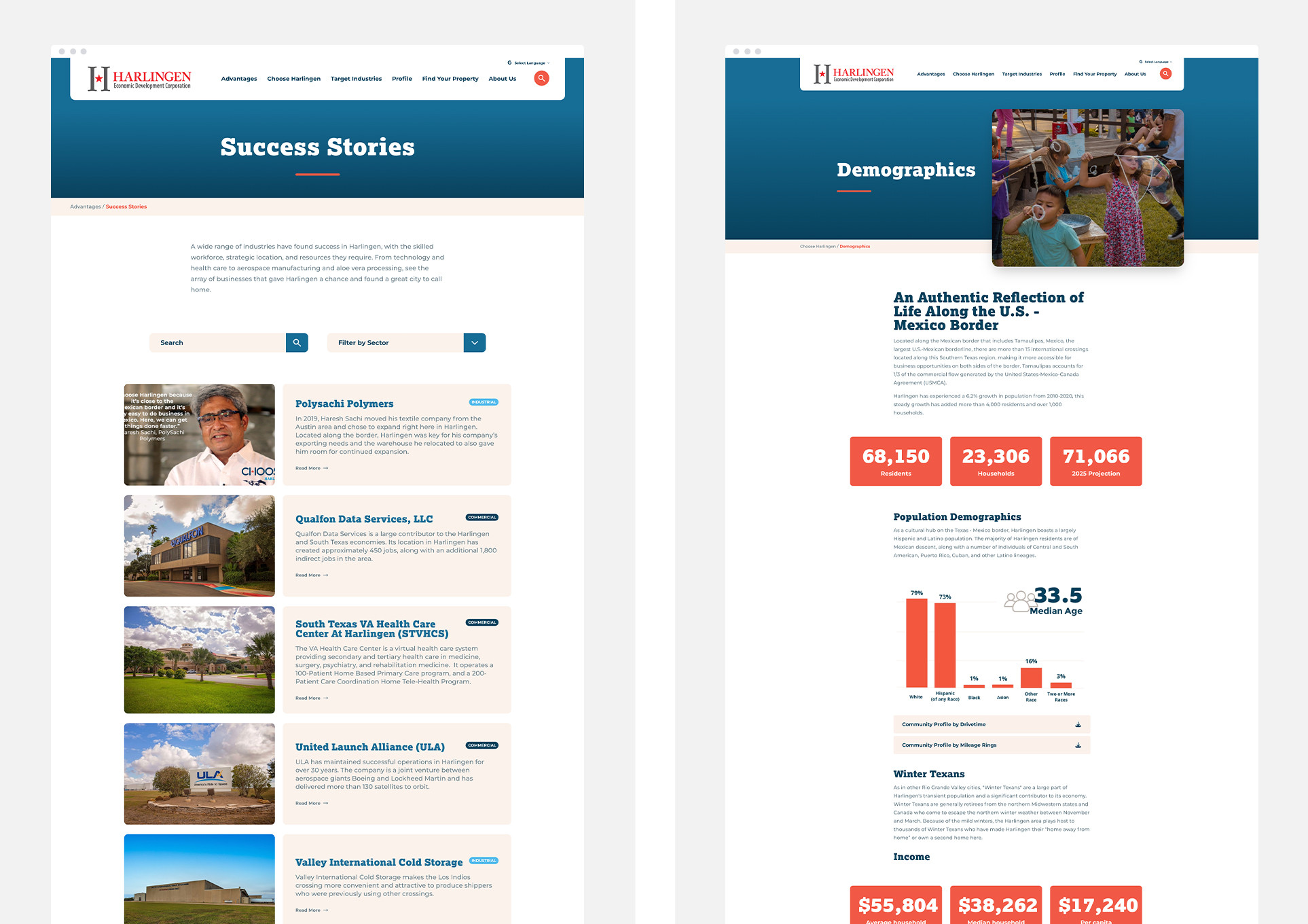 Screen shot of the success stories and demographics pages on their website